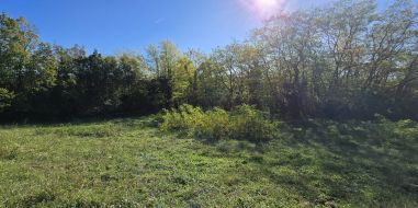 vente Calmont