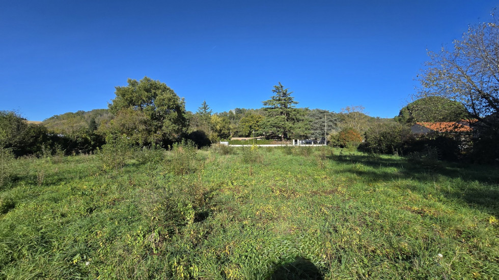 vente Terrain Calmont - Photo 2