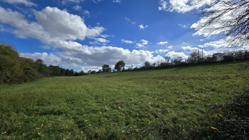 à vendre Terrain agricole Mazeres - Photo 1
