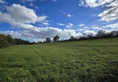 vente Terrain agricole Mazeres