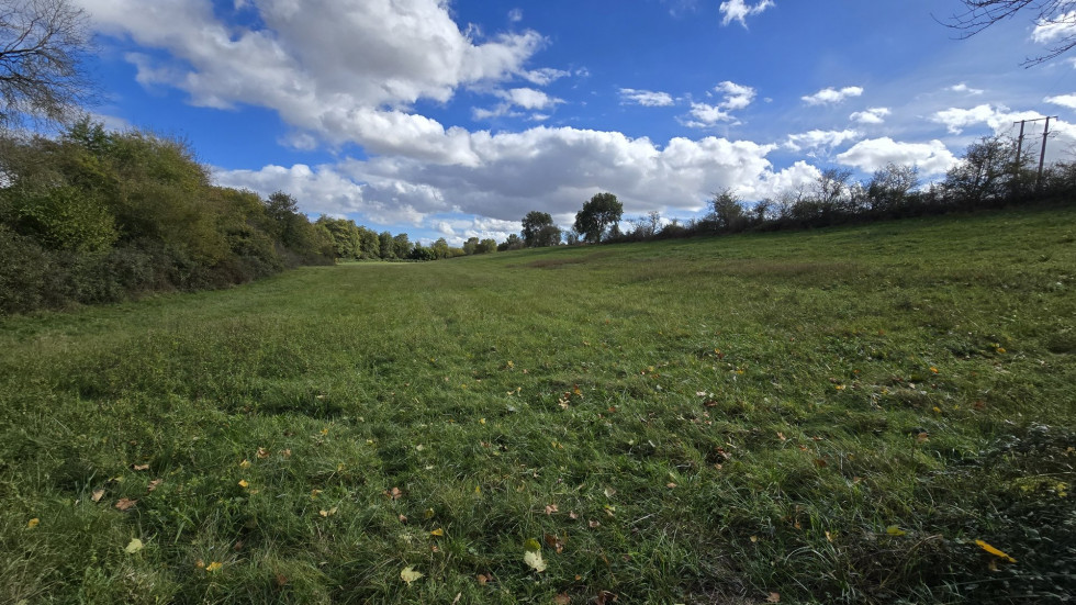 vente Terrain agricole Mazeres - Photo 3