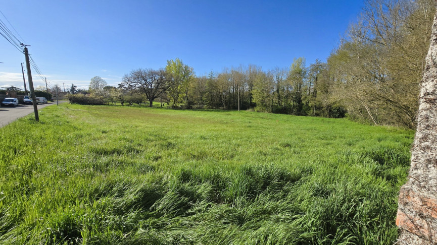 à vendre Terrain Cintegabelle - Photo 1