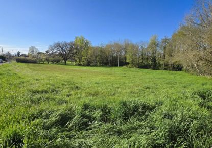 vente Terrain Cintegabelle