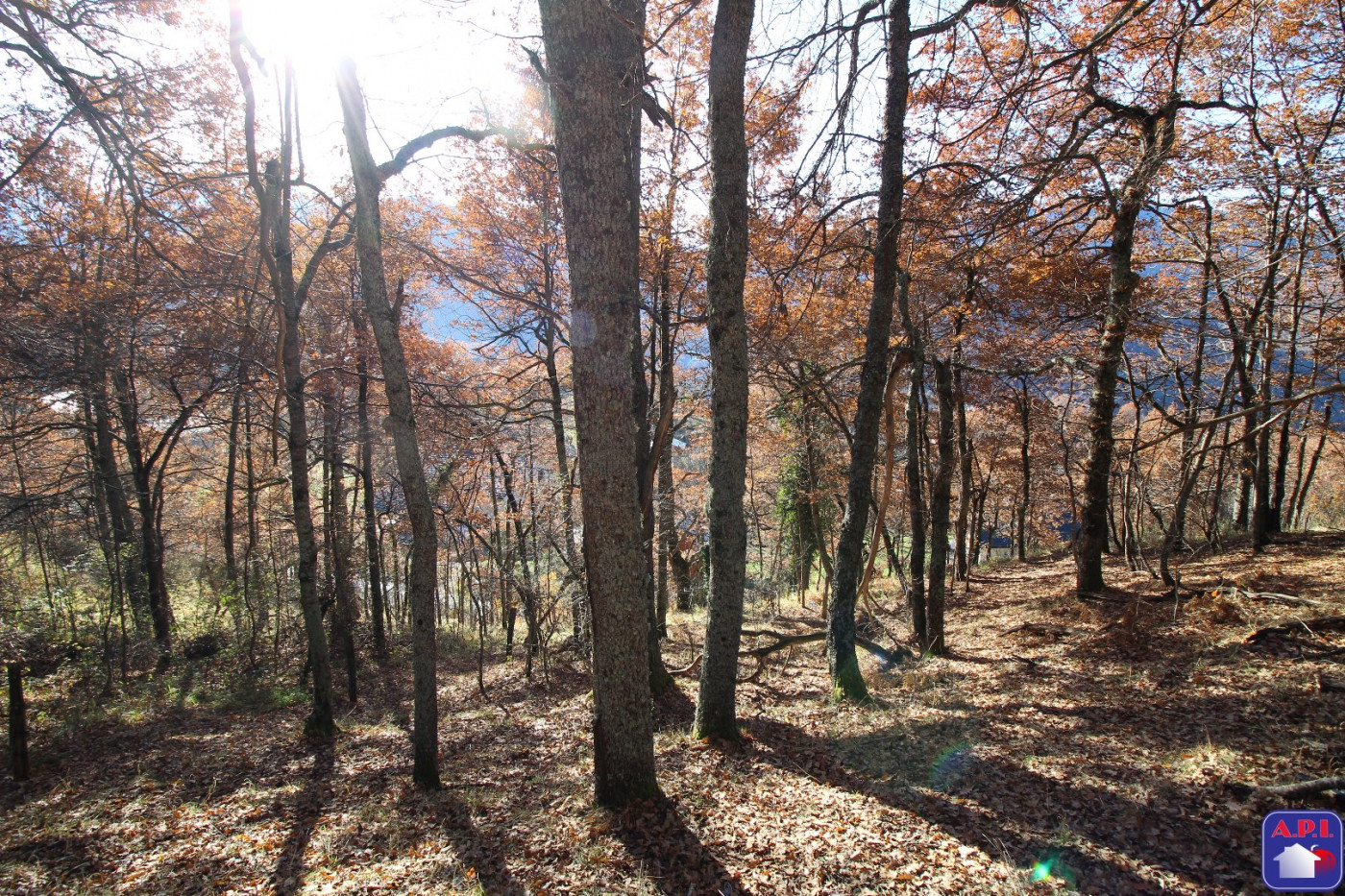 vente Terrain Ax Les Thermes - Photo 8