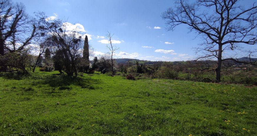 vente Terrain Salies Du Salat