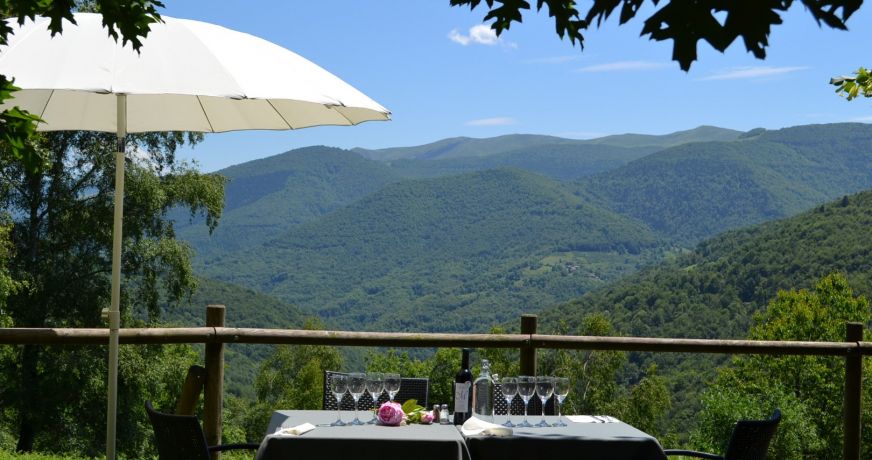 vente Hôtel restaurant Foix