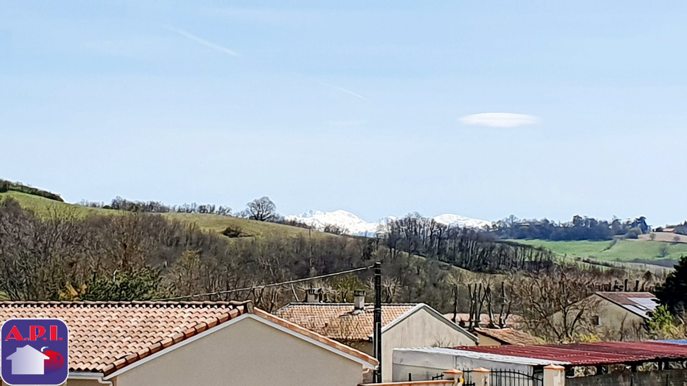 vente Terrain Saverdun - Photo 6