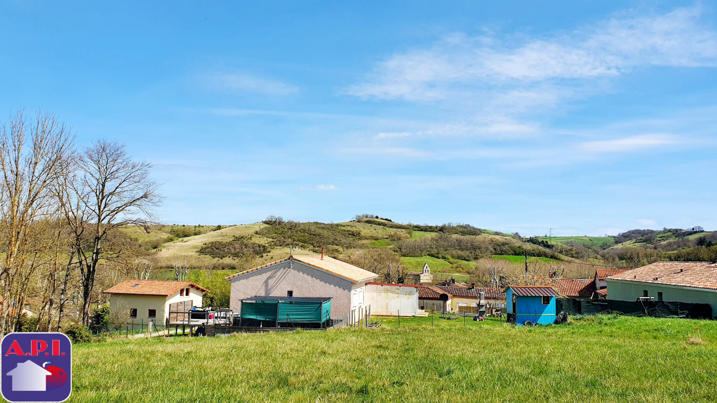 vente Terrain Saverdun - Photo 5