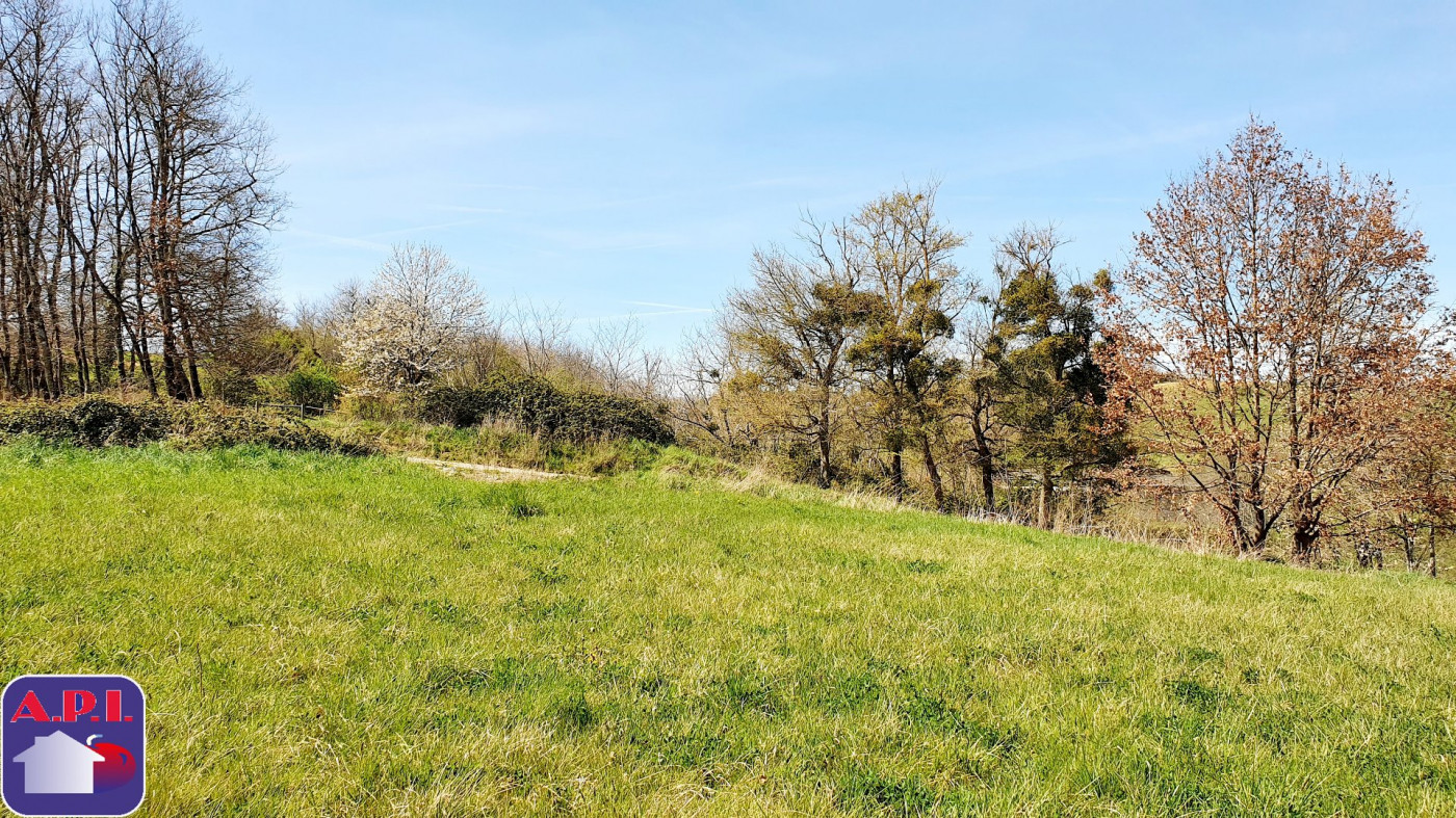 vente Terrain Saverdun - Photo 3