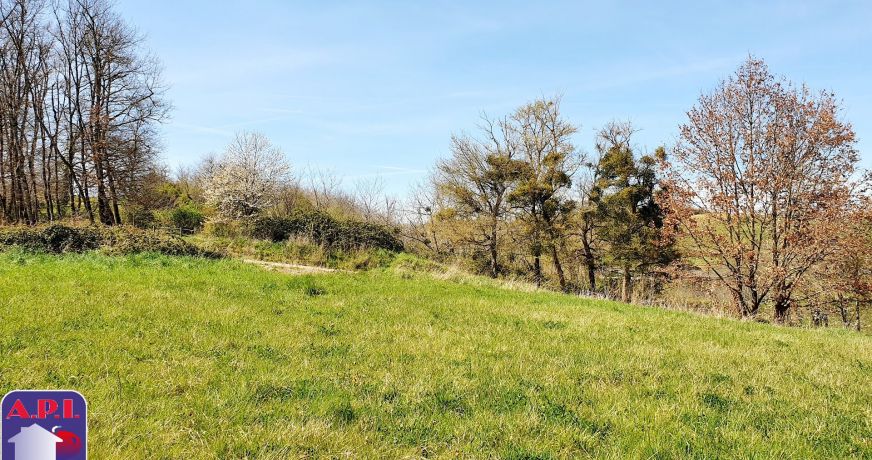 vente Terrain Saverdun