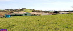 vente Terrain Saverdun