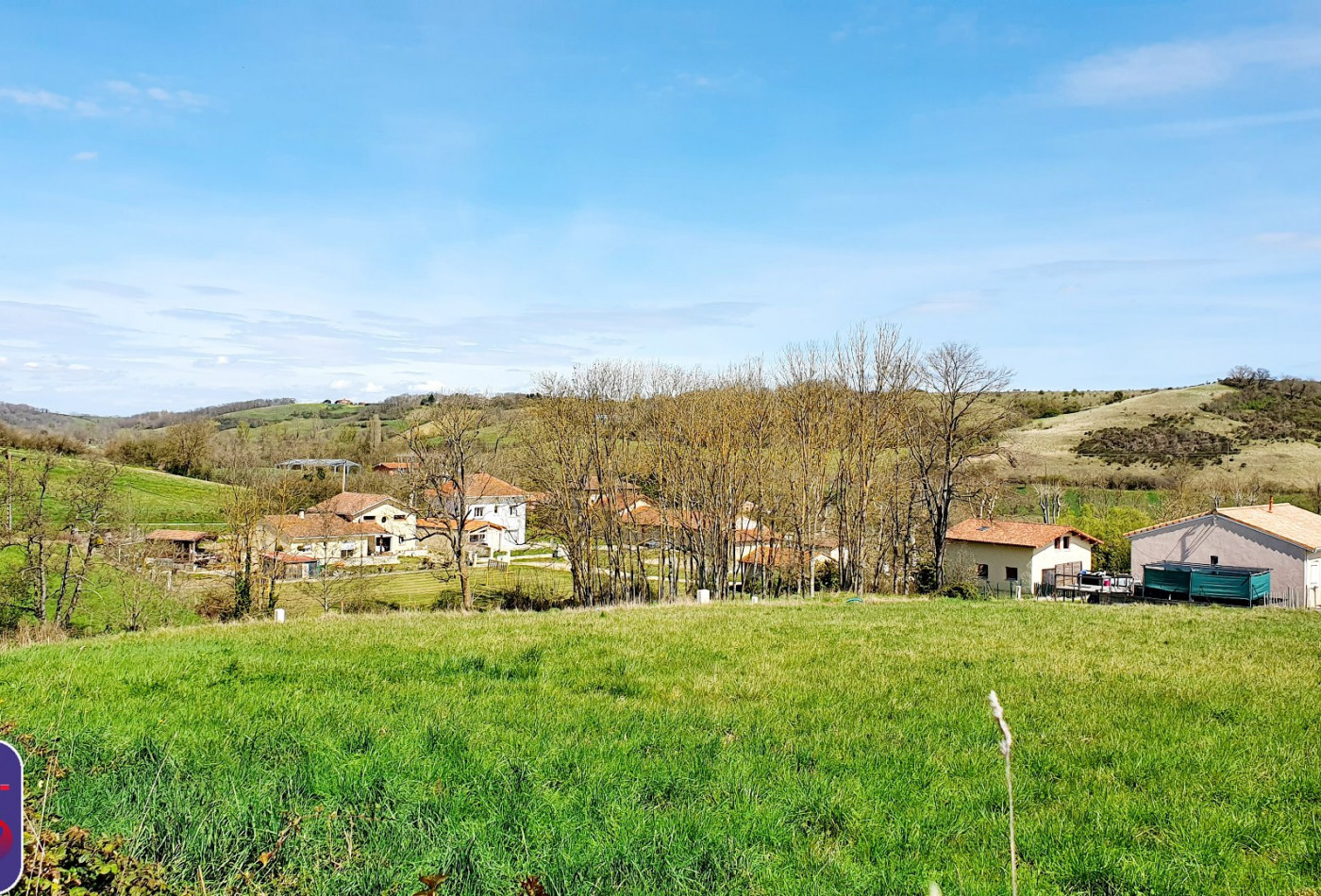vente Terrain Saverdun - Photo 1