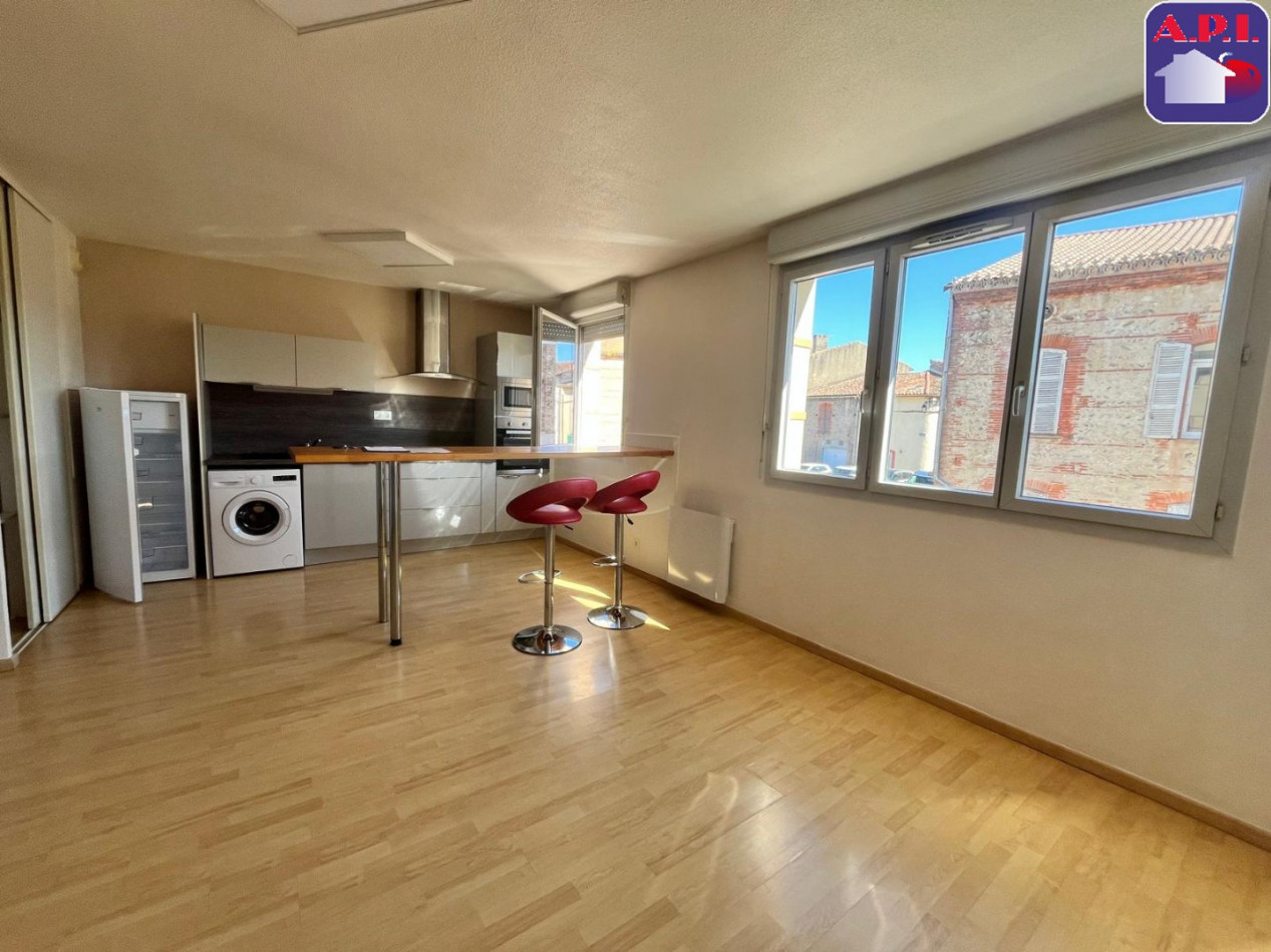 location Appartement Pamiers - Photo 7
