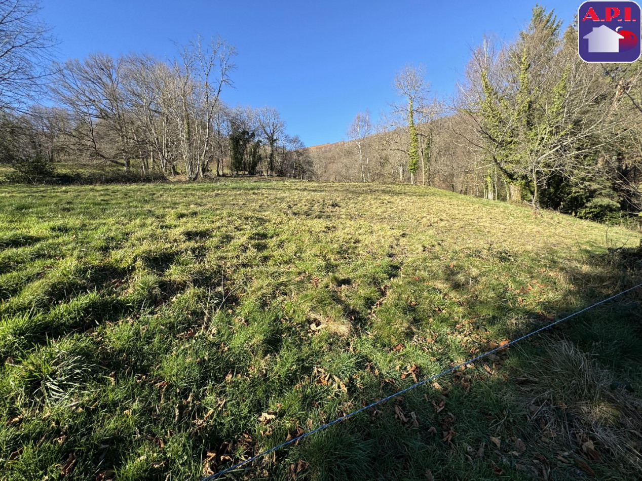 vente Maison Foix - Photo 4