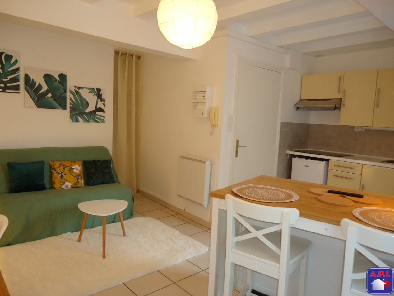 location Appartement Pamiers - Photo 11