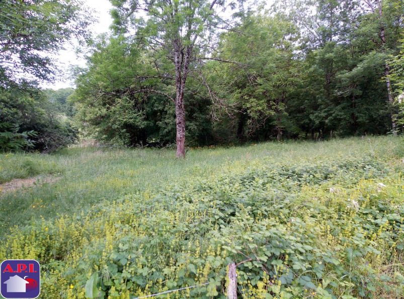 vente Maison Montseron - Photo 6