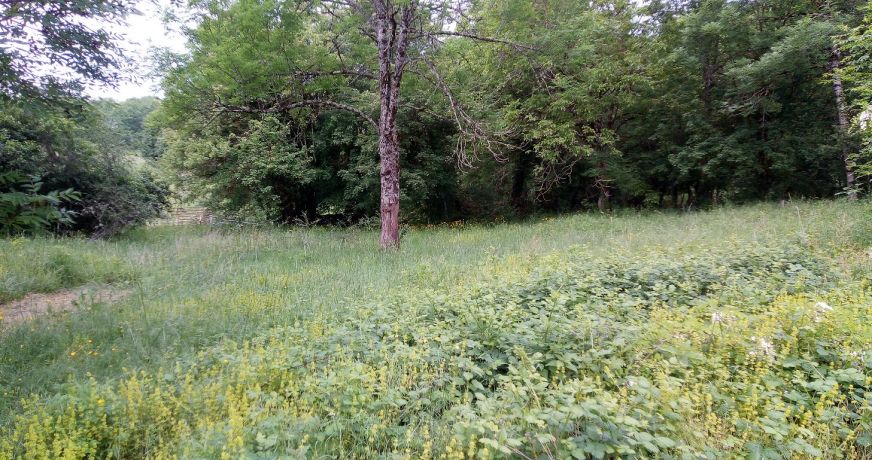 vente Maison Montseron