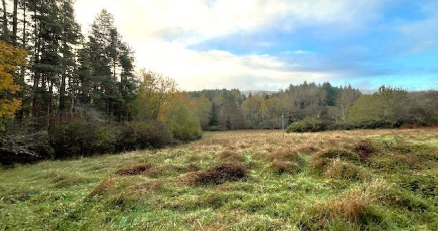 vente Maison de hameau Fabas