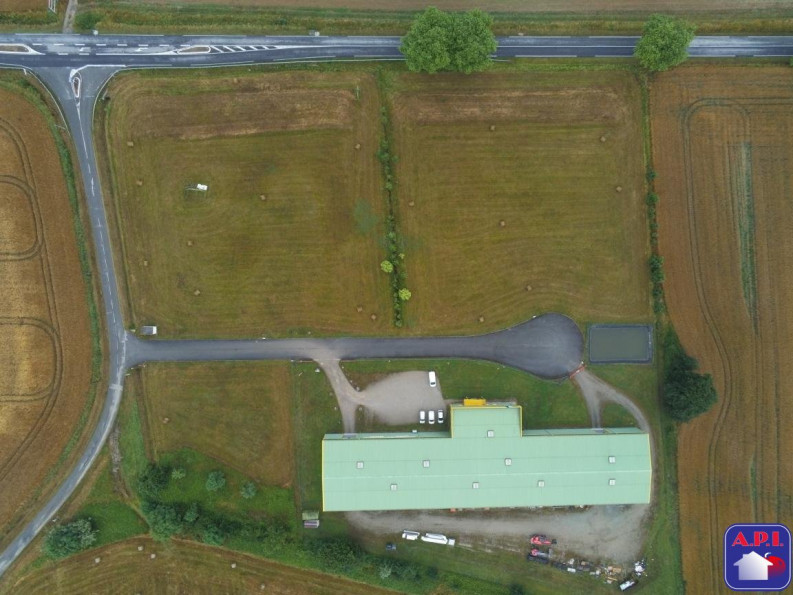 vente Terrain Montesquieu-volvestre - Photo 2