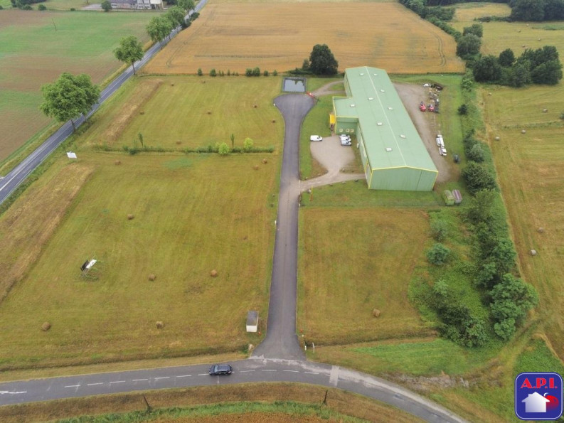 vente Terrain Montesquieu-volvestre - Photo 1