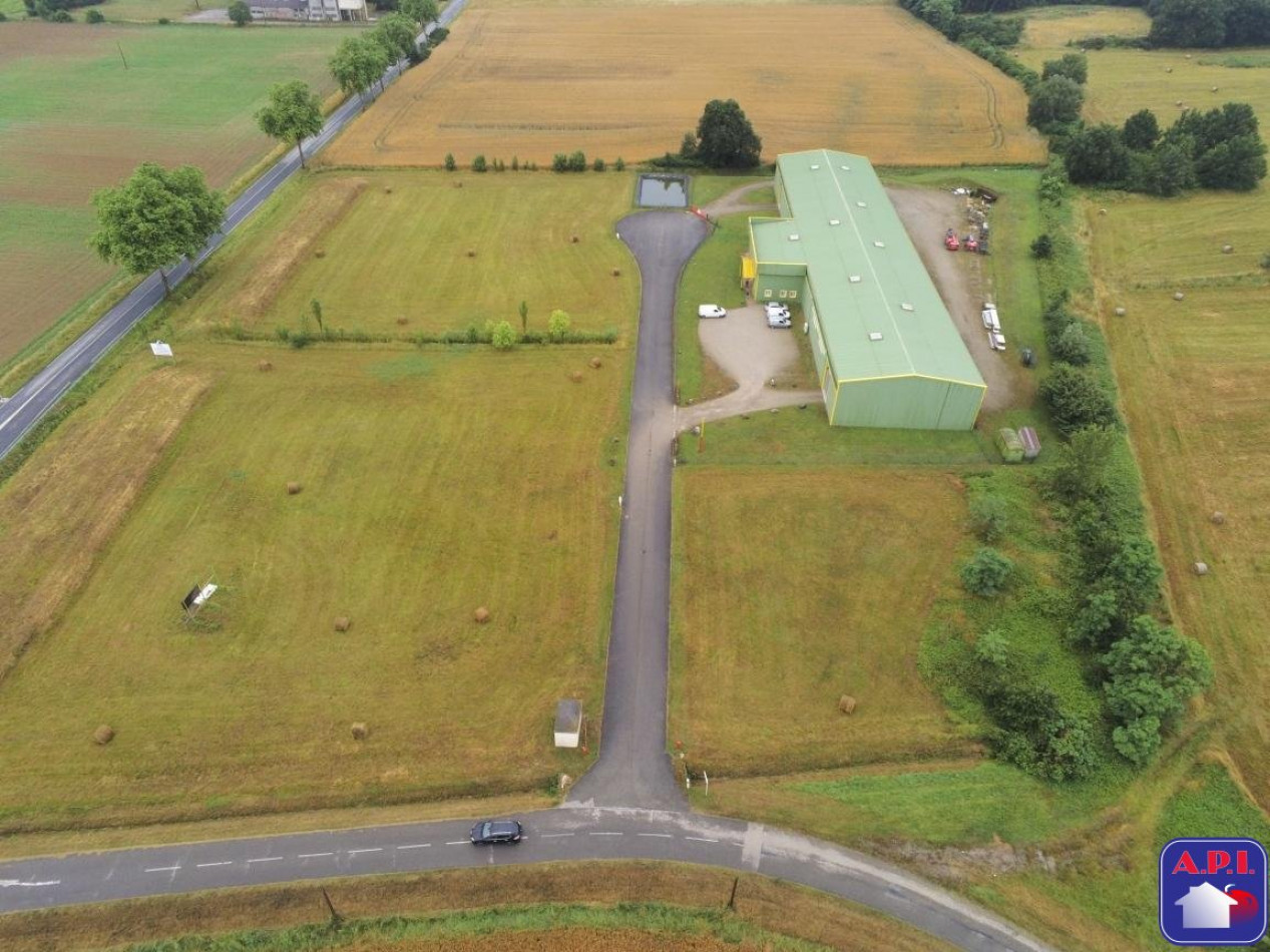 vente Terrain Montesquieu-volvestre - Photo 1