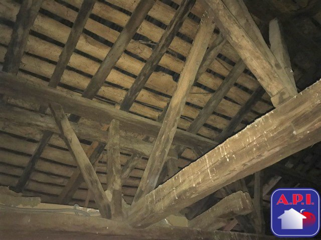 vente Immeuble Montesquieu-volvestre - Photo 9