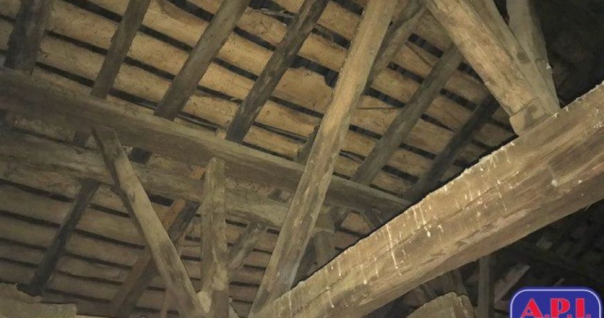 vente Immeuble Montesquieu-volvestre