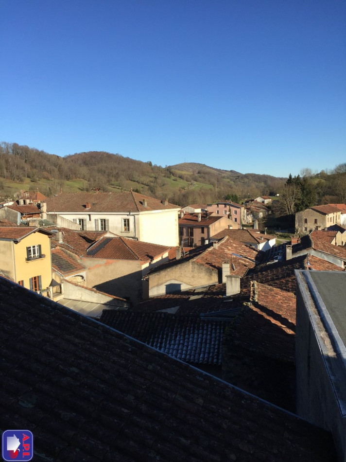 vente Maison bourgeoise La Bastide De Serou - Photo 2