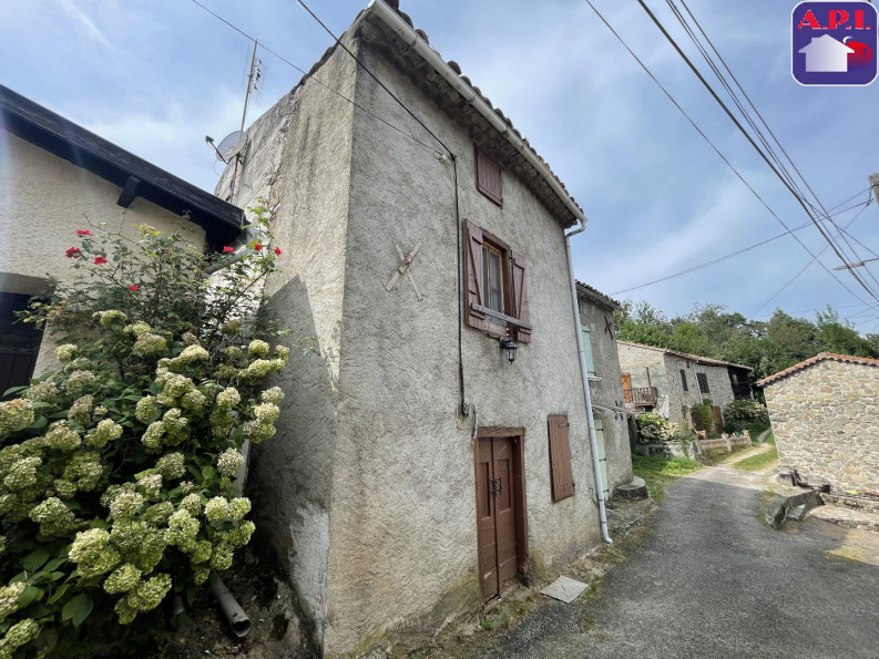 vente Maison de hameau Foix