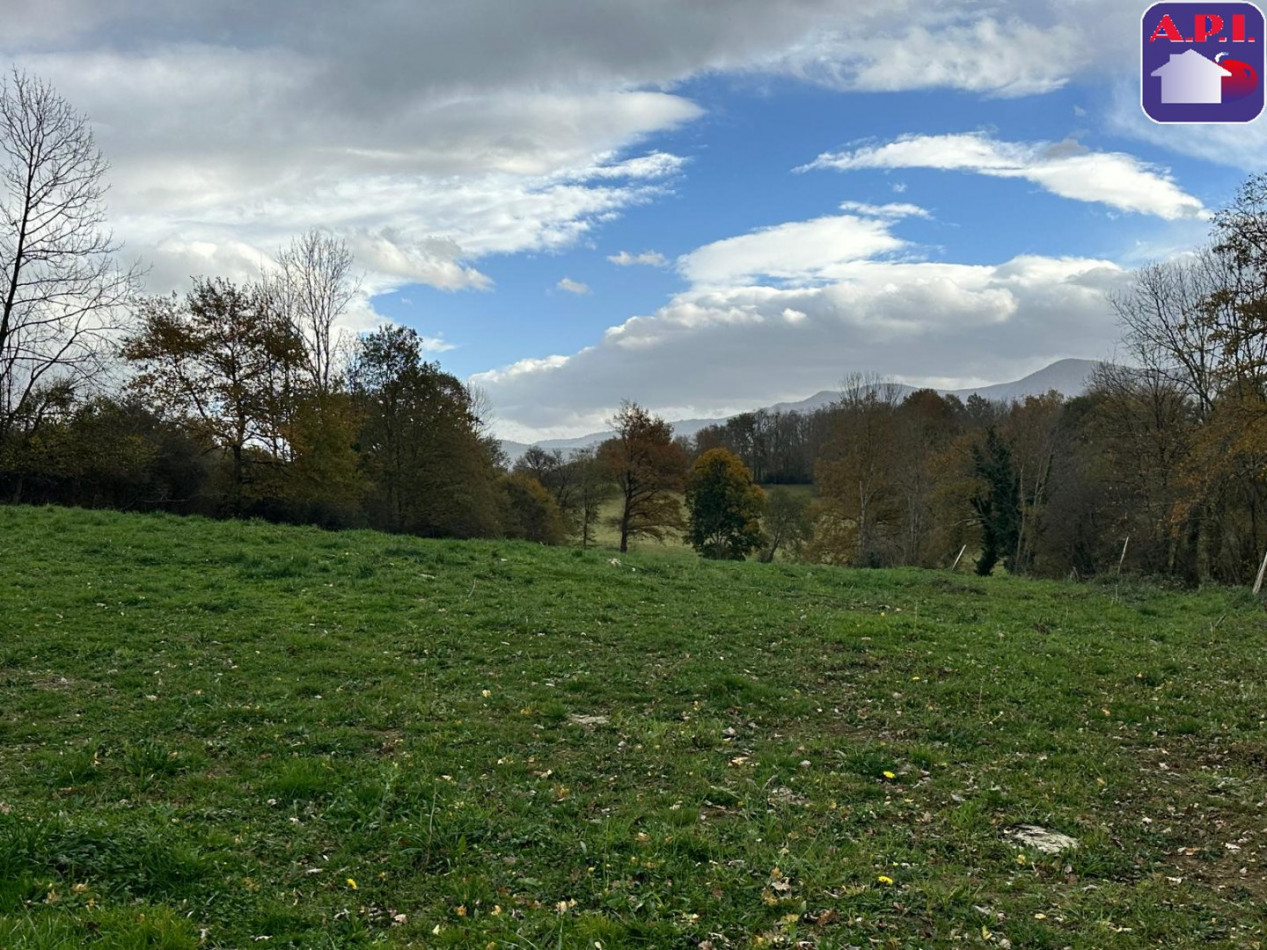 vente Maison Audinac Les Bains - Photo 11