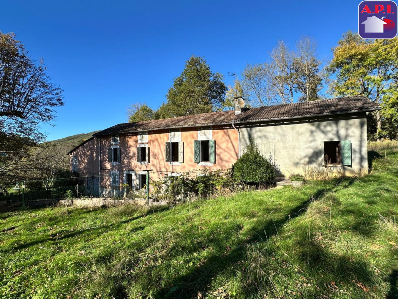 vente Maison Audinac Les Bains - Photo 1