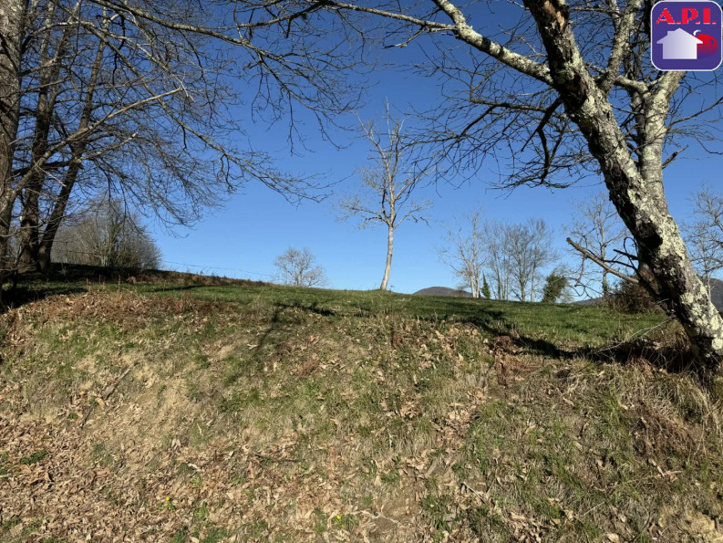 vente Terrain Foix - Photo 6