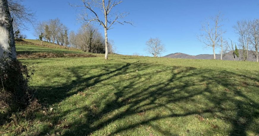 vente Terrain Foix