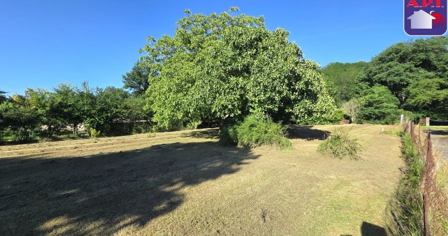 vente Terrain constructible Saverdun
