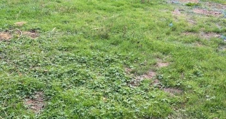vente Terrain constructible Salles Sur L'hers