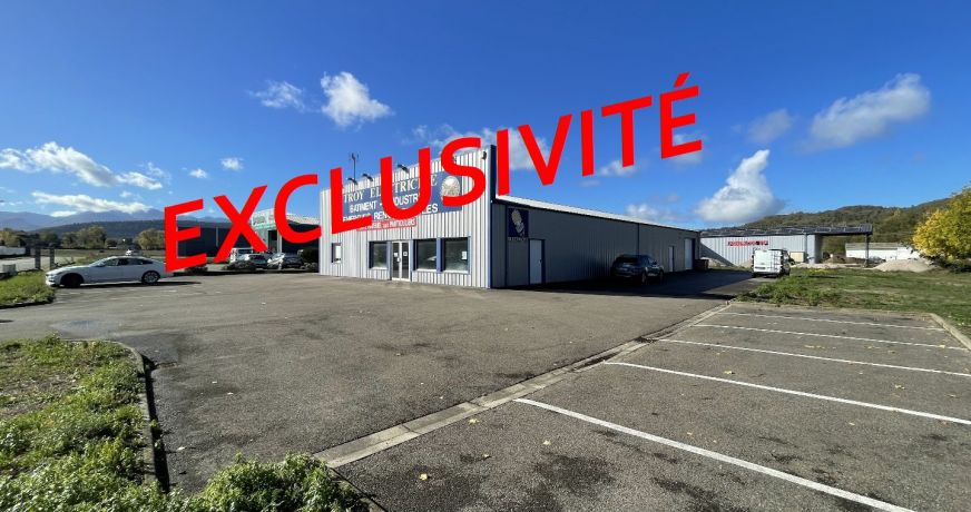 vente Locaux d'activité Laroque D'olmes