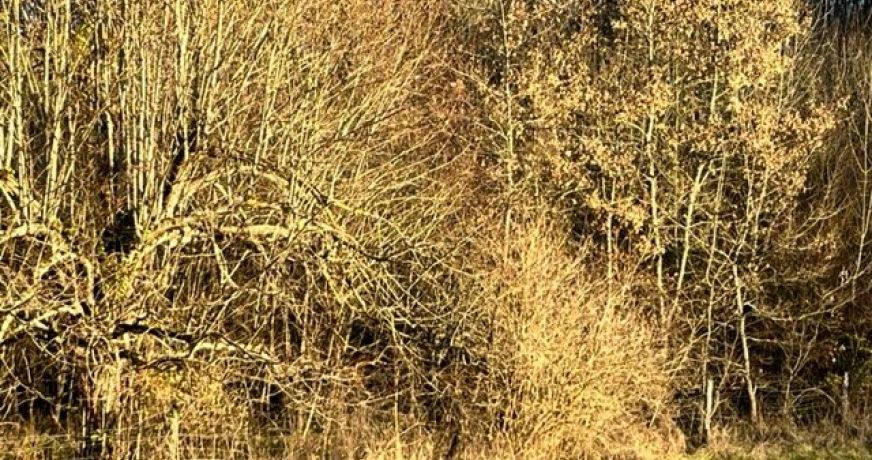 vente Terrain de loisir Couladere