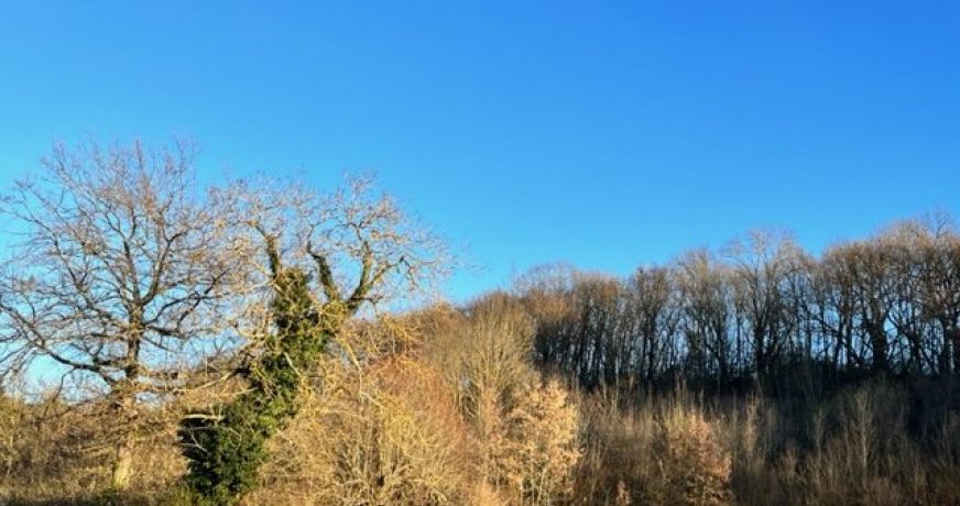 vente Terrain de loisir Couladere