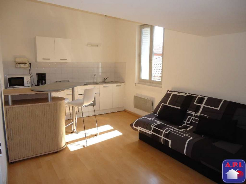 location Appartement Pamiers - Photo 1