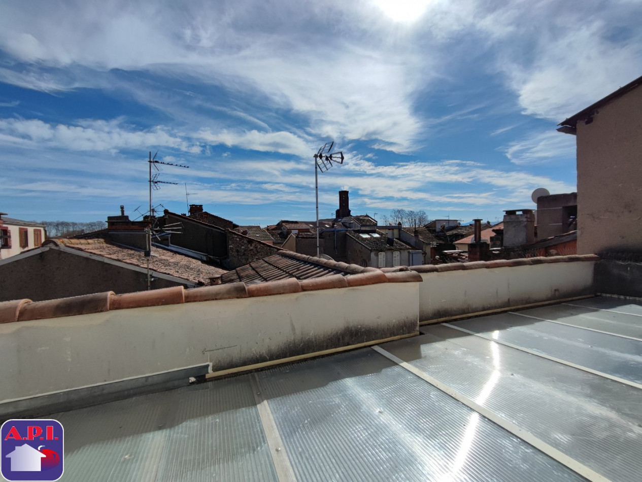 location Appartement Pamiers - Photo 6