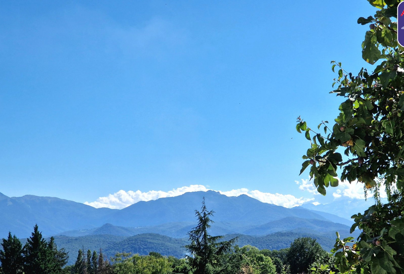 vente Maison Saint Gaudens - Photo 9