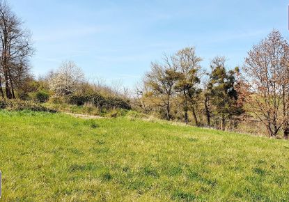 vente Terrain Saverdun