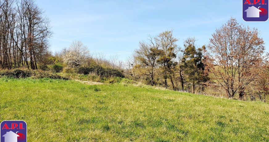 vente Terrain Saverdun