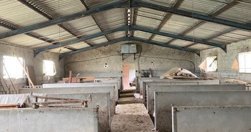 vente Hangar Marquein