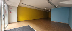 location Local commercial Lavelanet