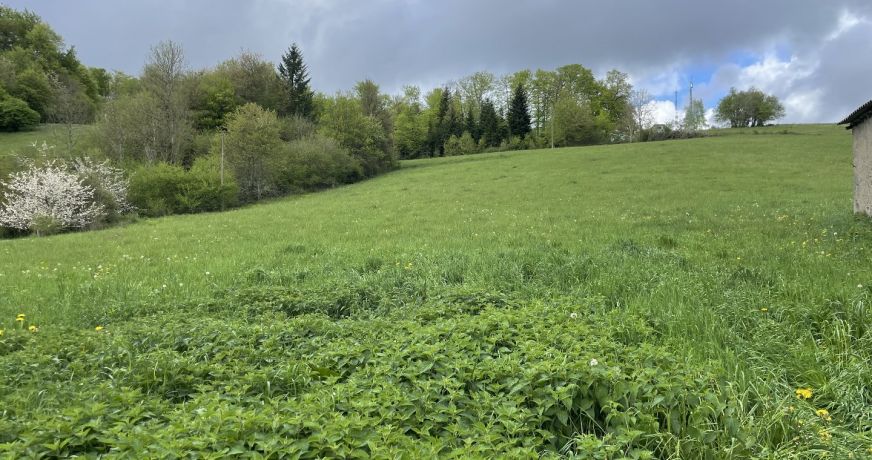 vente Terrain Roquefeuil