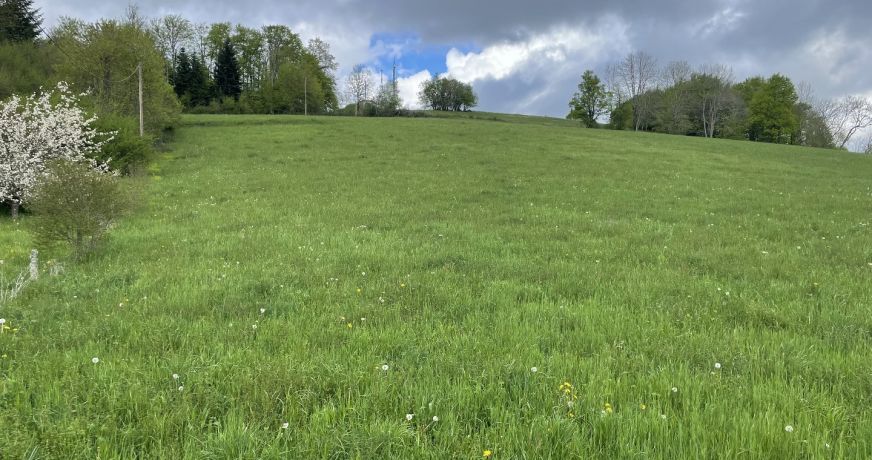 vente Terrain Roquefeuil