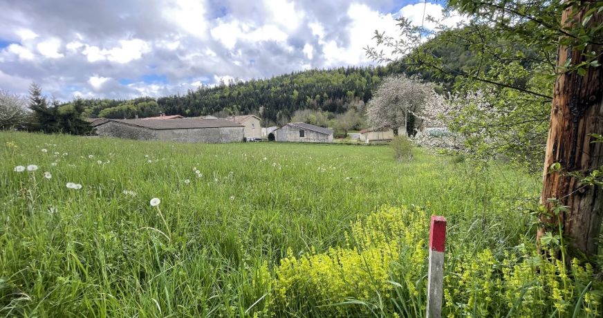 vente Terrain Roquefeuil