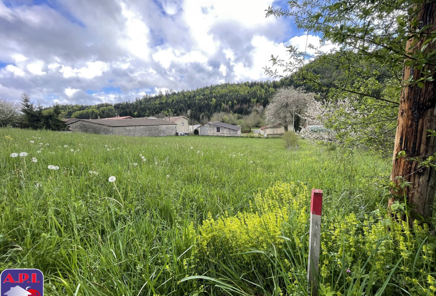 vente Terrain Roquefeuil - Photo 1