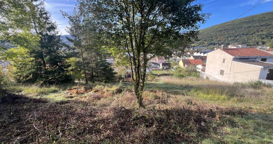 vente Terrain Lavelanet